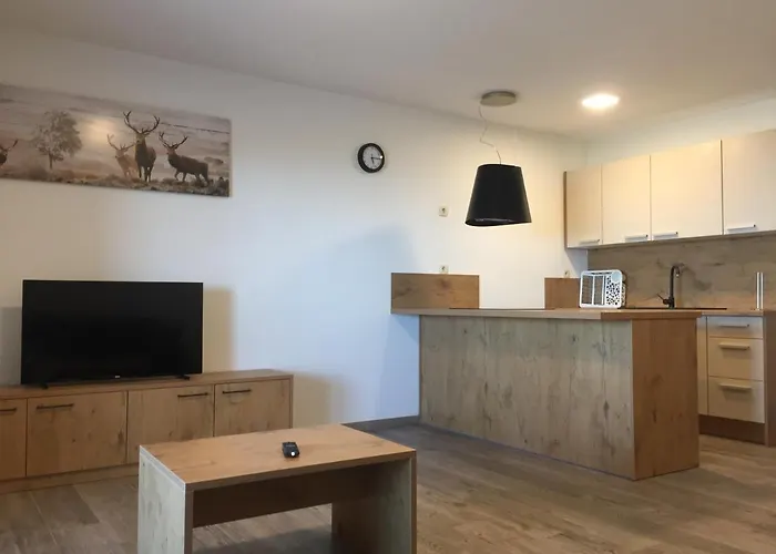 Apartmaji Hocka Koca