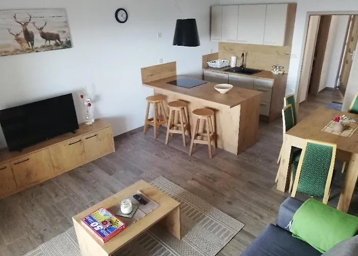 公寓 Apartmaji Hocka Koca *